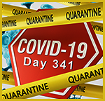 Day341