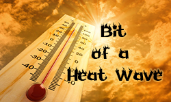 Heat Wave