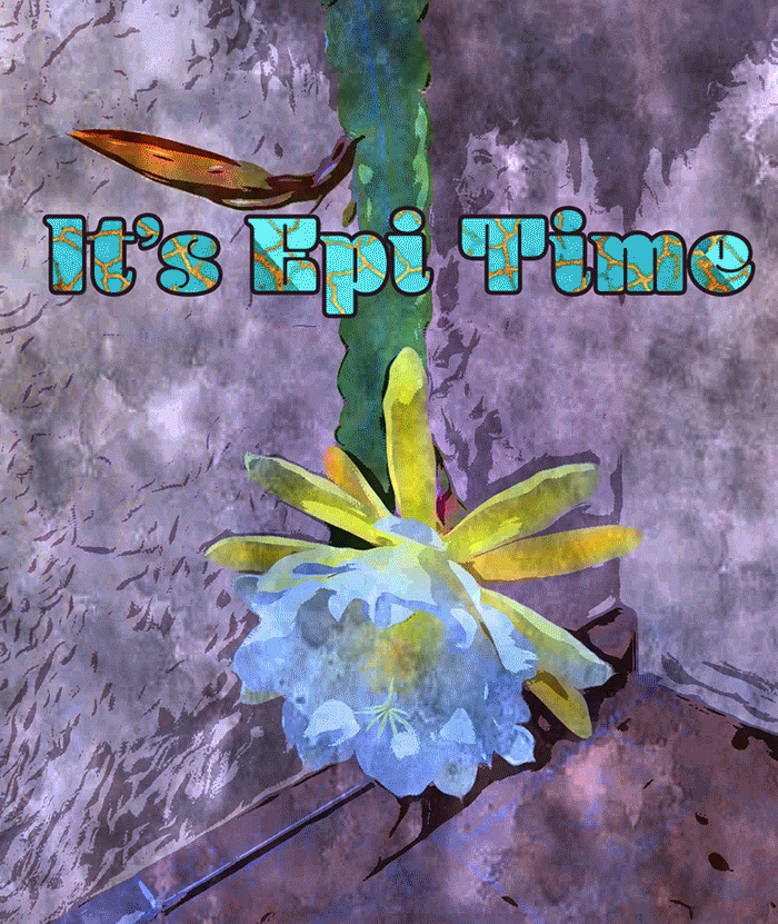 EpiTime
