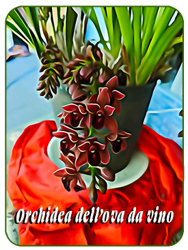 WineGrapesFebruary23