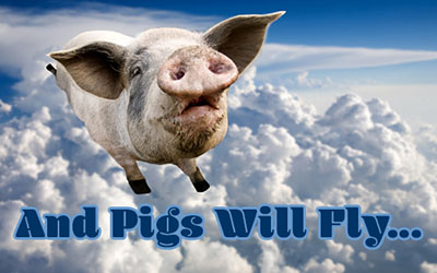PigsFly