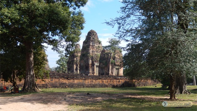 DSCN0325